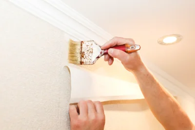 Pose de papier peint à Cussy-le-Châtel — revêtements muraux et toiles de verre
